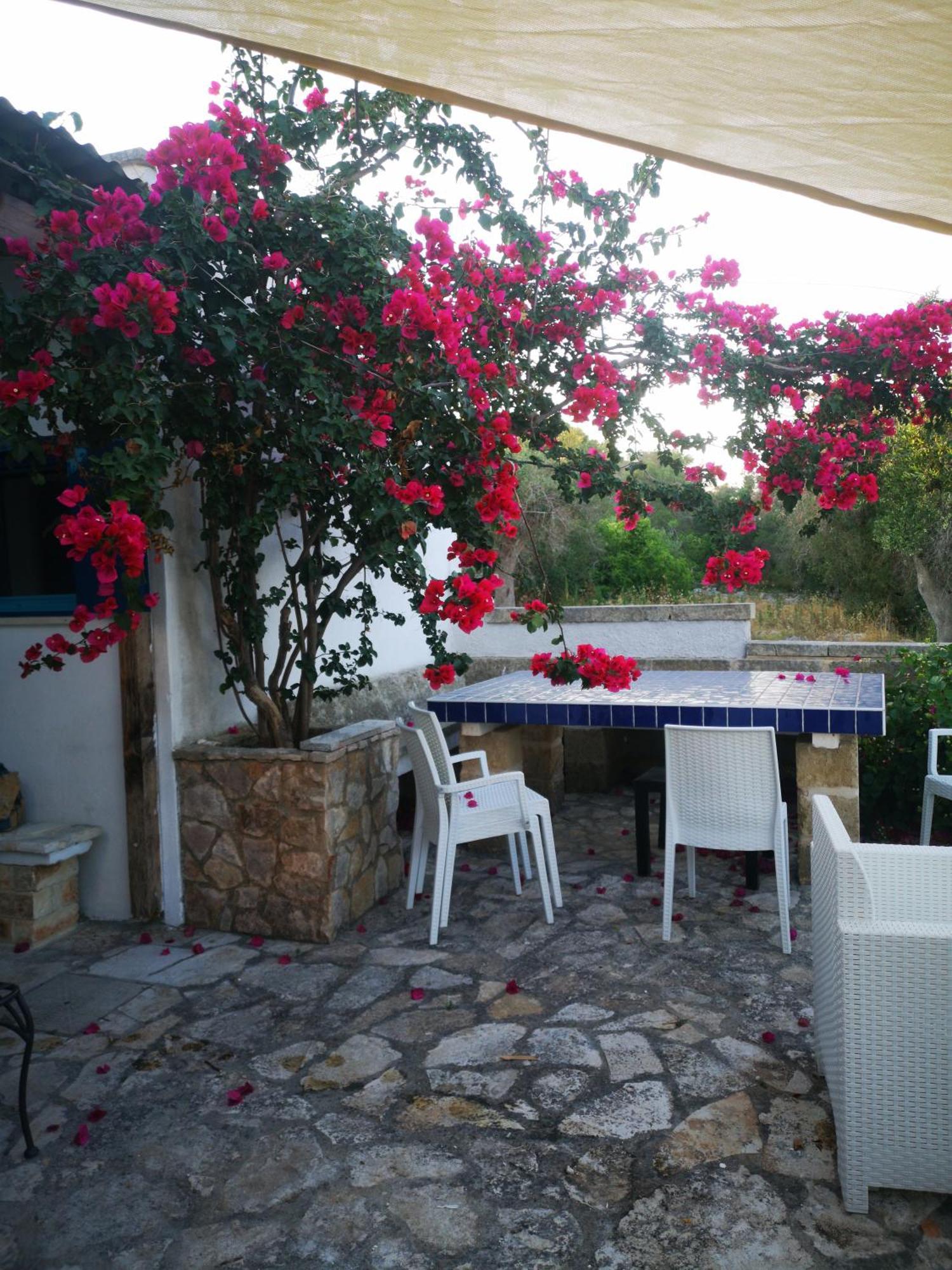 Azzurrosalento Villa มารินา แซร์รา ภายนอก รูปภาพ